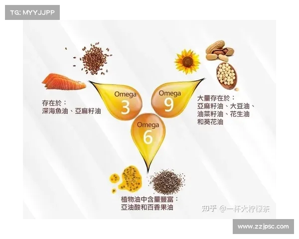 补剂选择与使用指南 如何根据需求挑选适合自己的营养补充品 补剂选择与使用指南 如何根据需求挑选适合自己的营养补充品