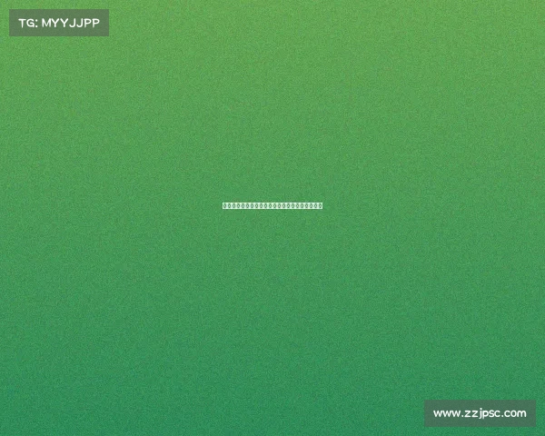 法甲冠军荣耀之路：回顾赛季最佳表现与未来挑战