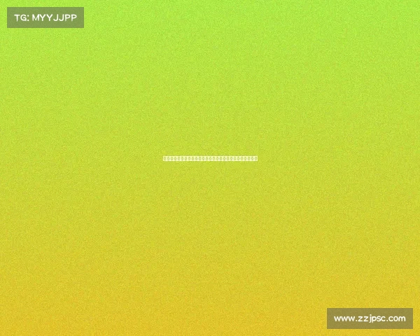 以欧塞尔为核心探讨法国中部城市的历史文化与现代发展潜力